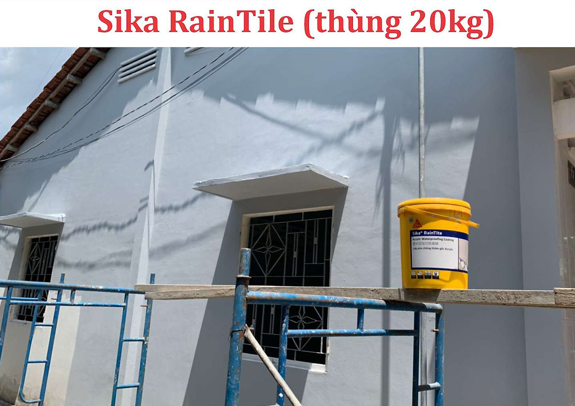 Sơn chống thấm Sika giúp bảo vệ công trình bền vững